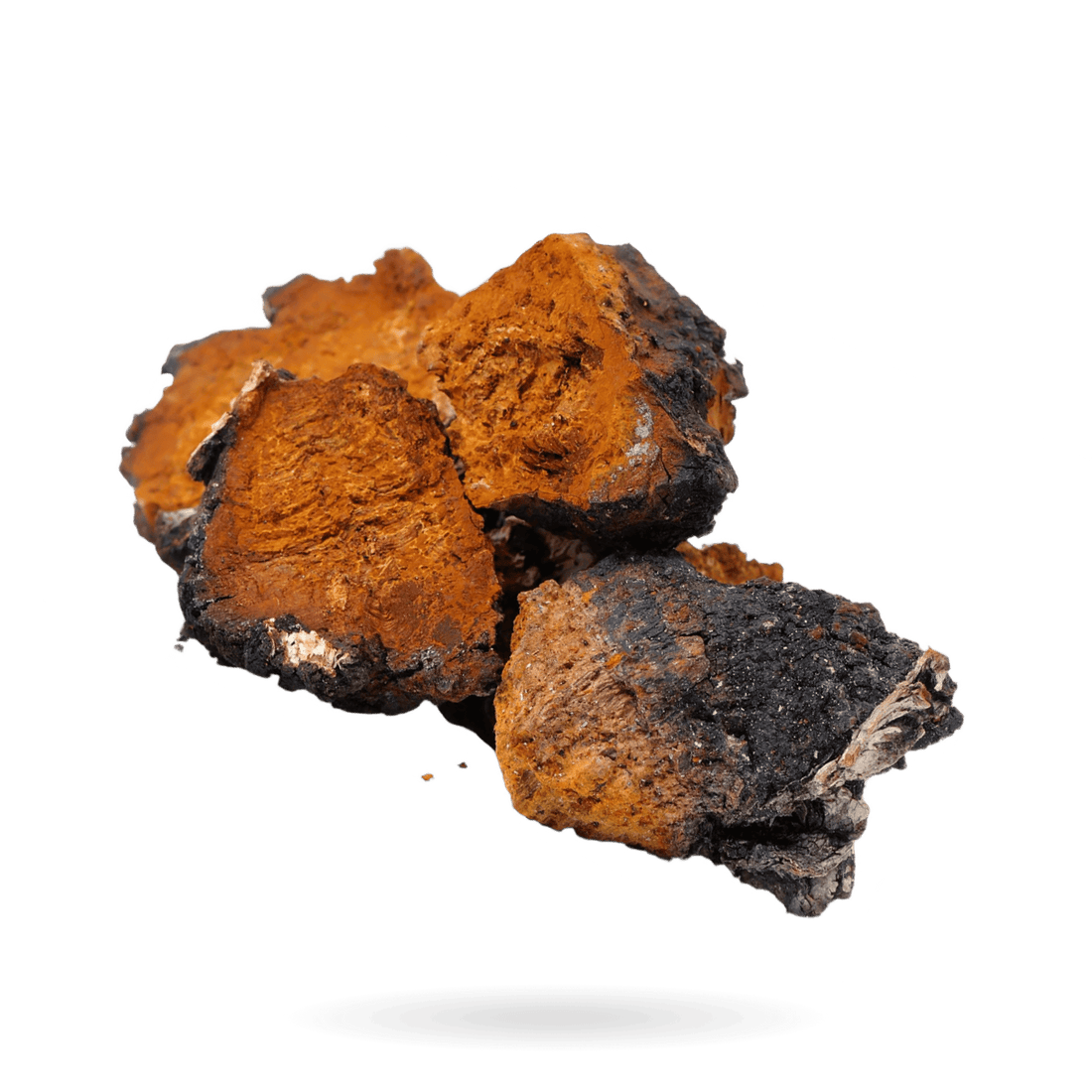 Are Mushroom Gummies Safe? What You Need to Know - Amish Reserve