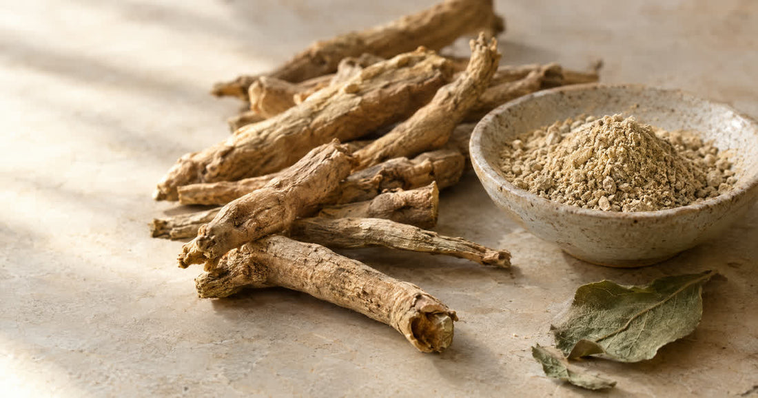 Ashwagandha Gummies Benefits: What the Research Actually Shows - Yoder's Organics