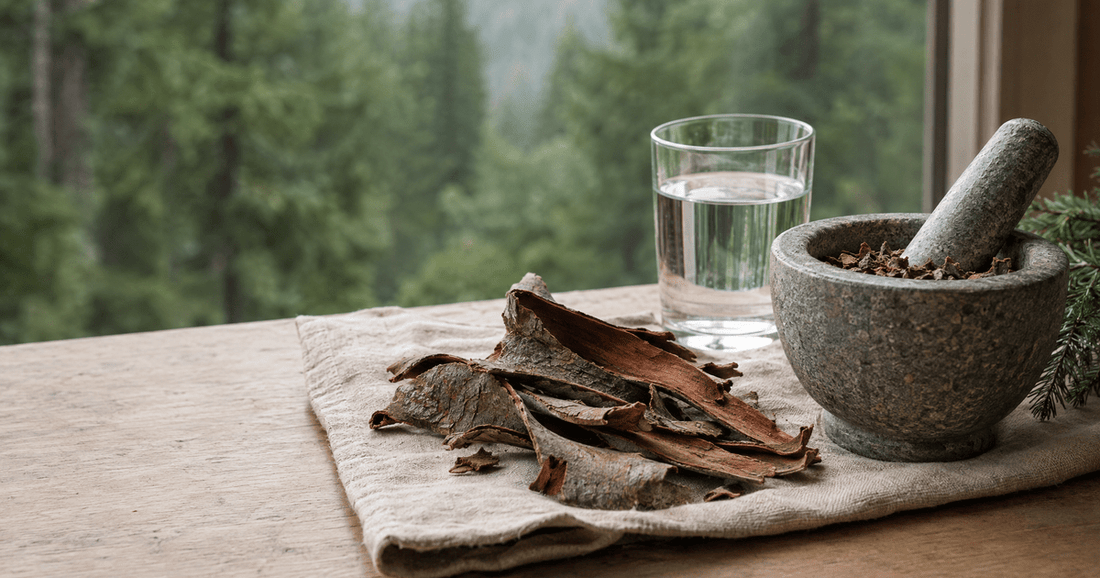 Dried cascara sagrada bark with a stone mortar and pestle and a glass of water