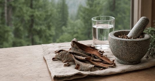 Dried cascara sagrada bark with a stone mortar and pestle and a glass of water