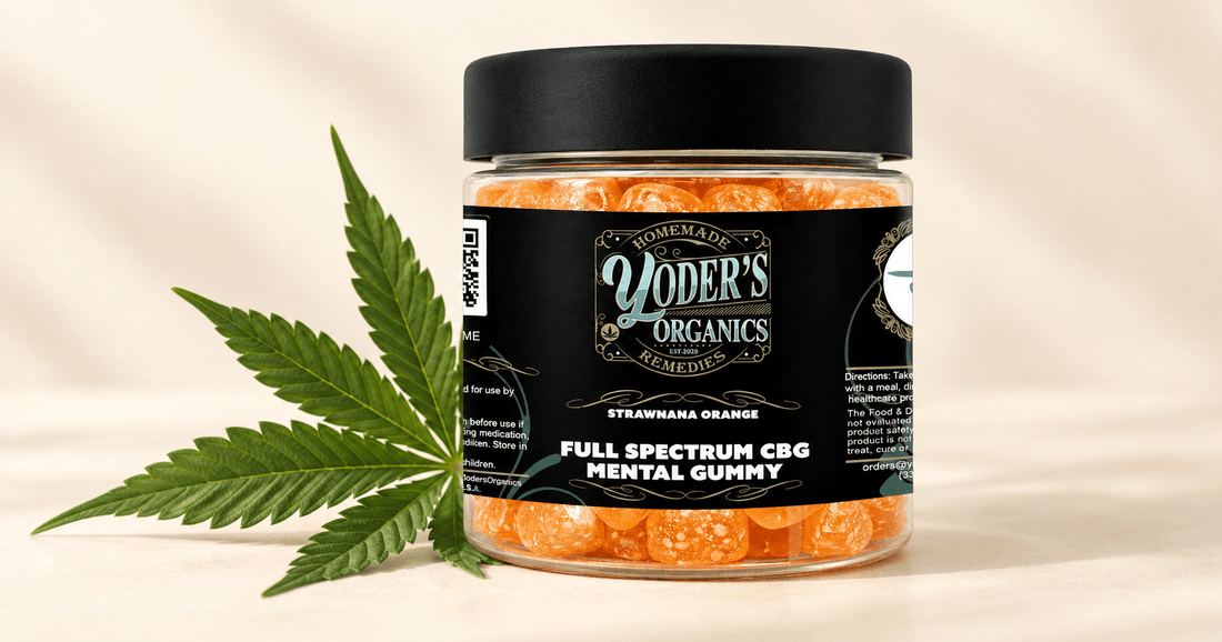 CBG vs CBD: What's the Difference? - Yoder's Organics