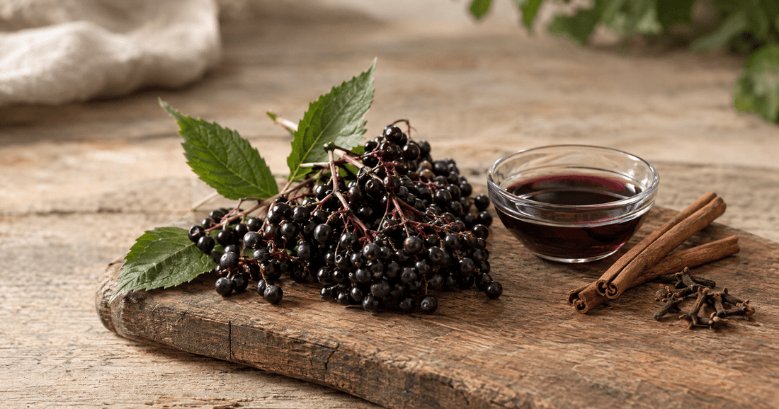Fresh elderberry clusters with a small dish of elderberry extract, cinnamon sticks and cloves