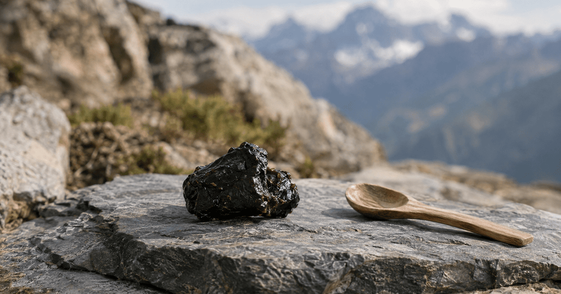 A piece of raw shilajit resin on a slate stone with a wooden spoon, mountains behind