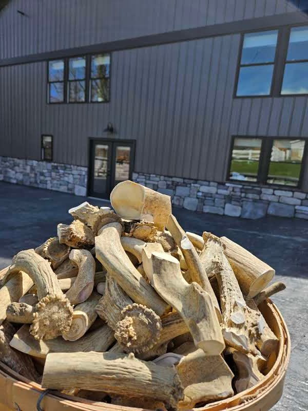 Bulk Qty 12 Dog Chews - Amish Reserve