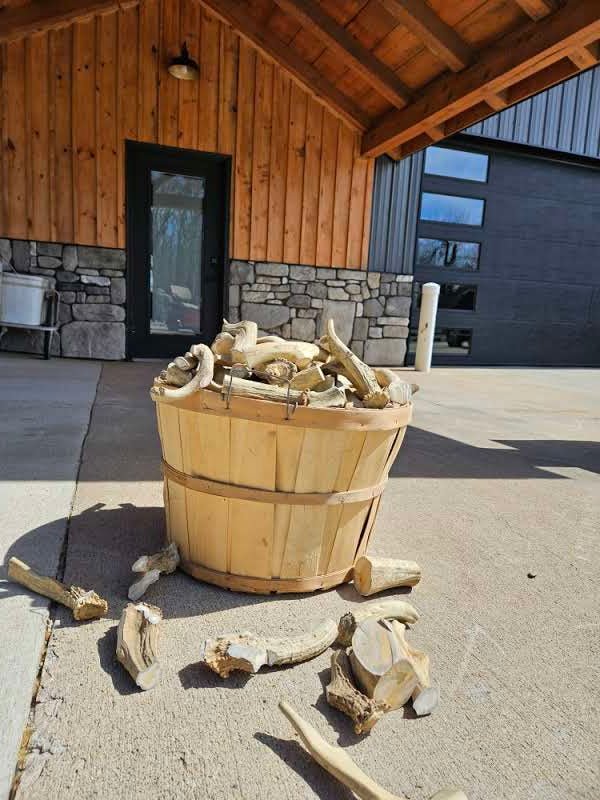 Bulk Qty 12 Dog Chews - Amish Reserve